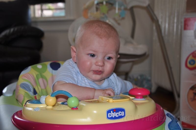 William's Sixteenth Week 01.jpg